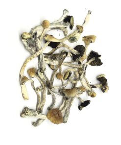 Buy Blue Meanies Mushrooms uk