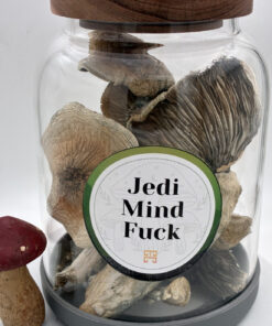 Buy Jedi Mind Fuck Magic Mushrooms Uk